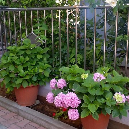 Apartments Strkalj Бибинье Экстерьер фото